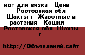 кот для вязки › Цена ­ 1 - Ростовская обл., Шахты г. Животные и растения » Кошки   . Ростовская обл.,Шахты г.